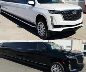 20 Passenger Luxury SUV Cadillac Escalade