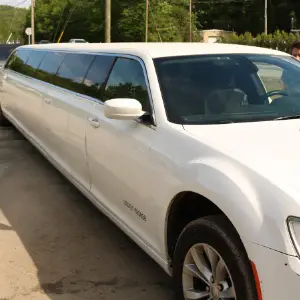 The Godfather 4 Passengers - 1954 Cadillac Limousine