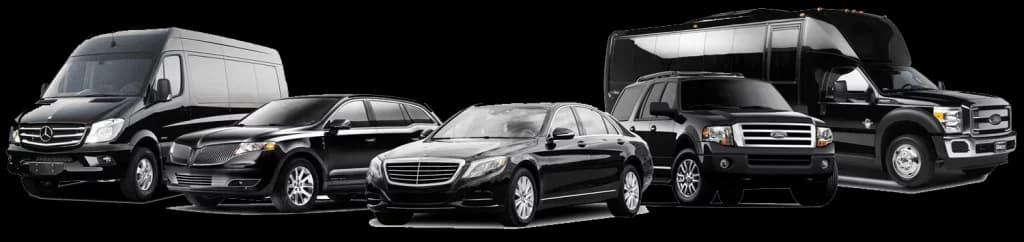 #1 Mercedes Sprinter Party Bus (8-15 Passengers)