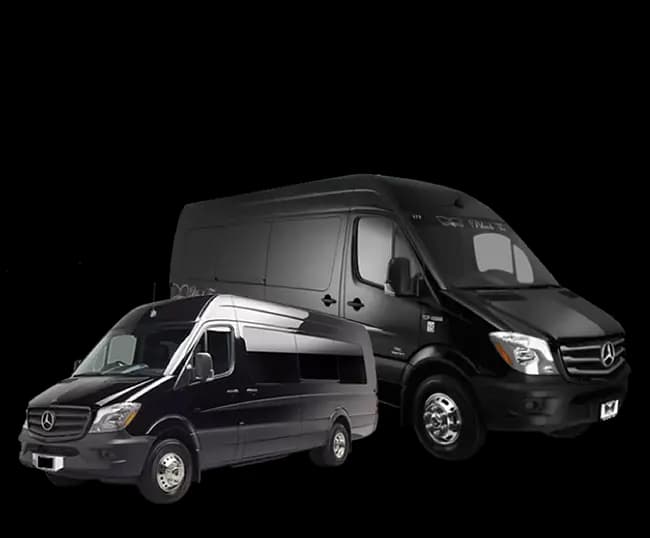 #3 Small Executive Sprinter (6-11 Passengers)