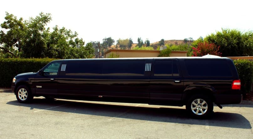 The Titan Party Bus - seats 30-35 passengers