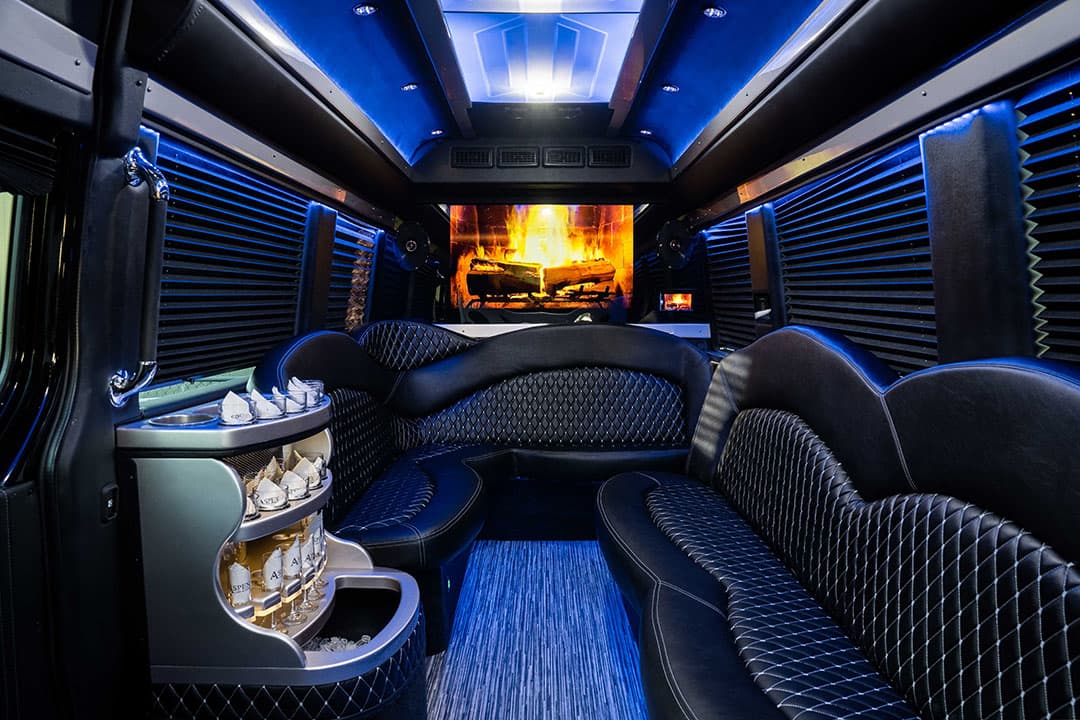 Luxury 27 Passenger Cruiser