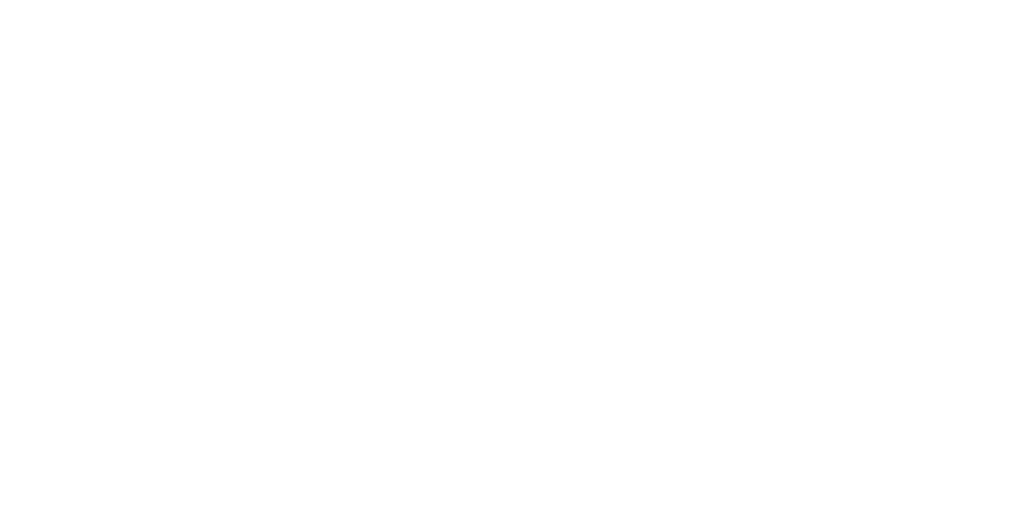Plus Transportation LLC