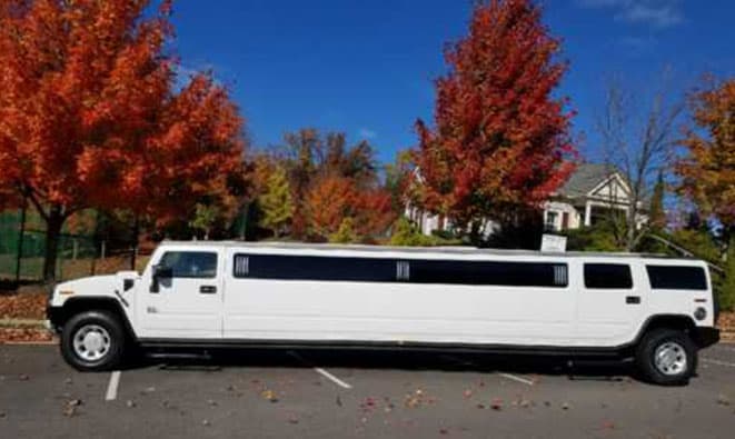 Atlas Limo