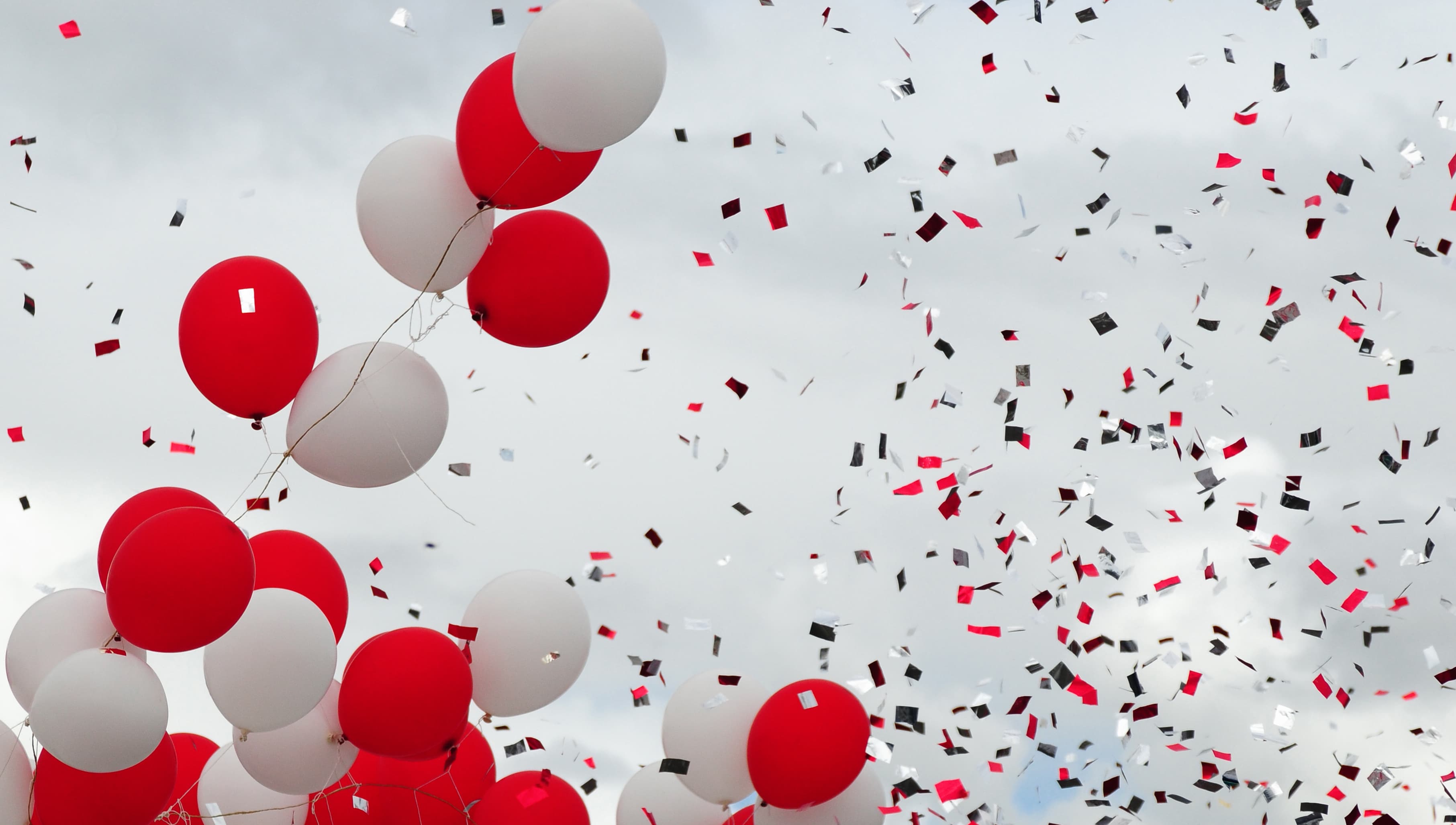 Avaron Party Bus Rentals