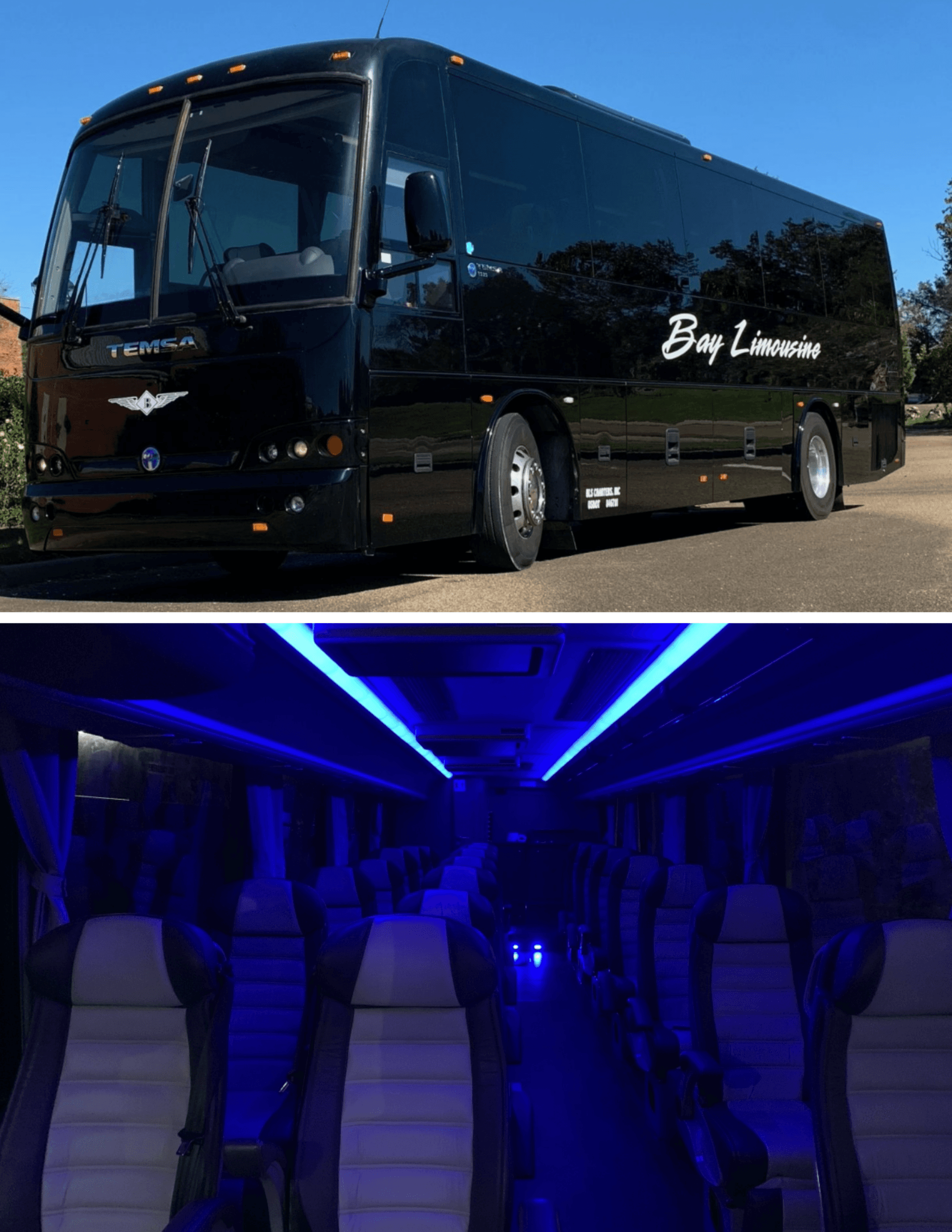 VIP TEMSA (INLINE)