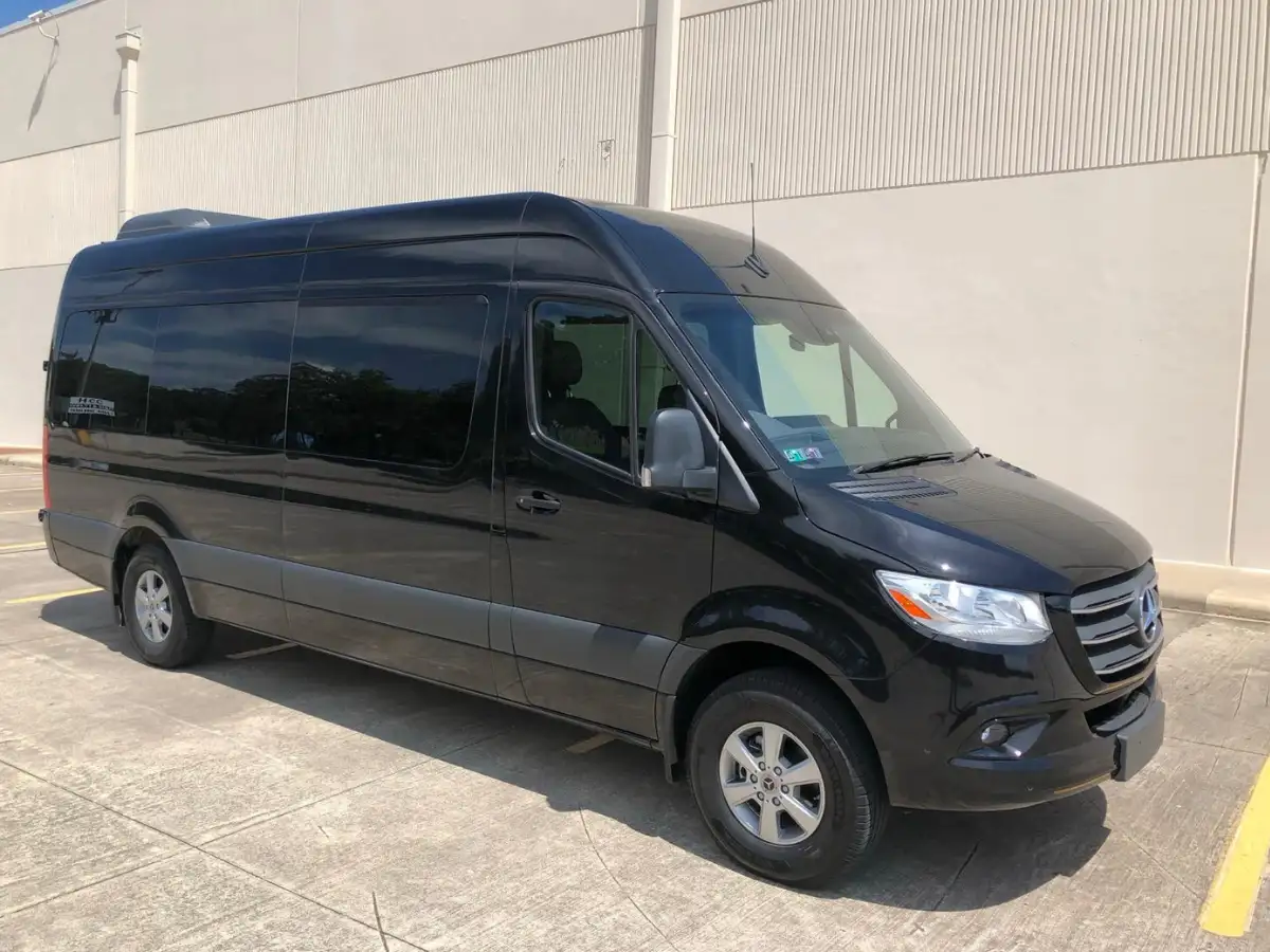Executive Sprinter Van - 14 pax