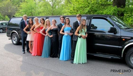 Mercedes Party Bus (12-14 Passengers)