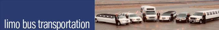 Limo Bus for Larger Groups up to 15 Passengers