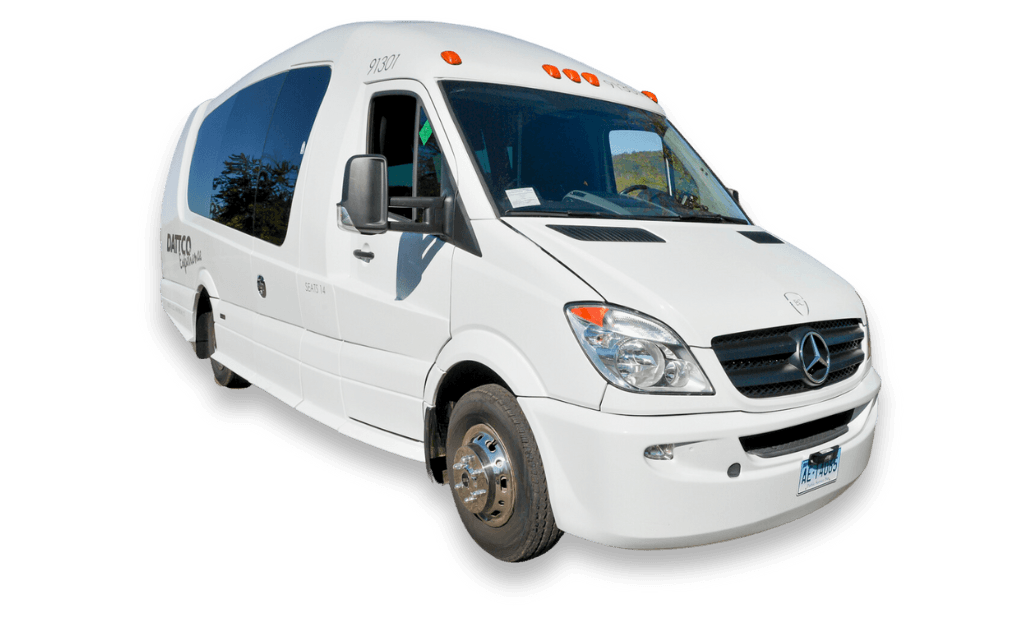Experience Limo Van