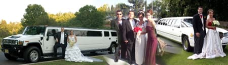 Party Bus (20 Pass)