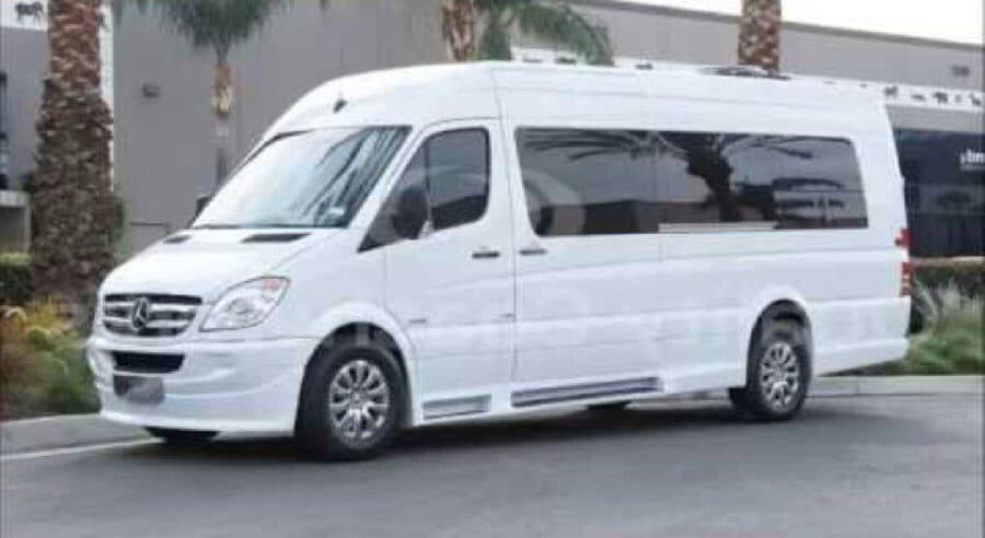 Deluxe Limousine
