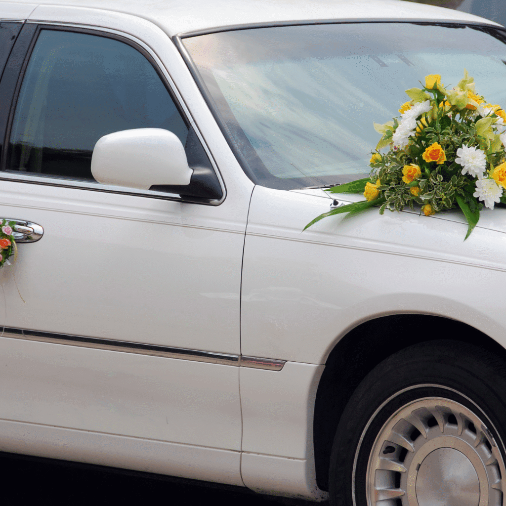Luxury Sedan Fleet