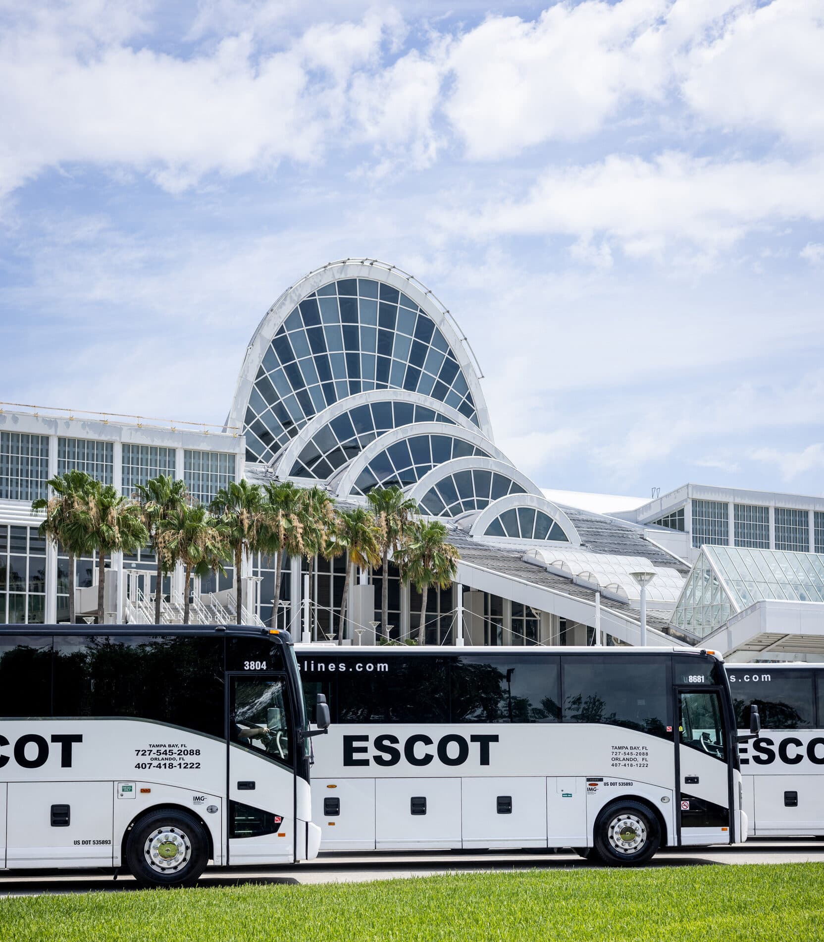 44 Modern 56 Passenger Full Size Coaches