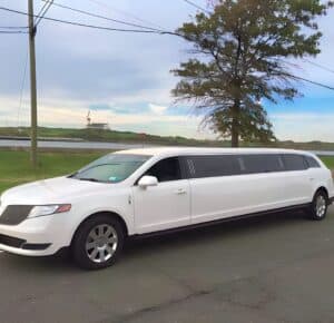 18 Passenger Yukon Denali Limo