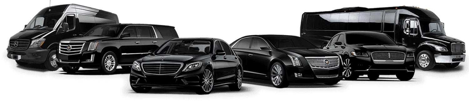 Grace Limo