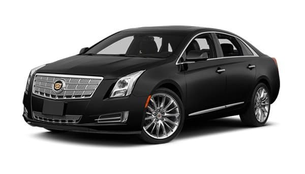 18 Passenger Custom Limo Coach / Party Bus