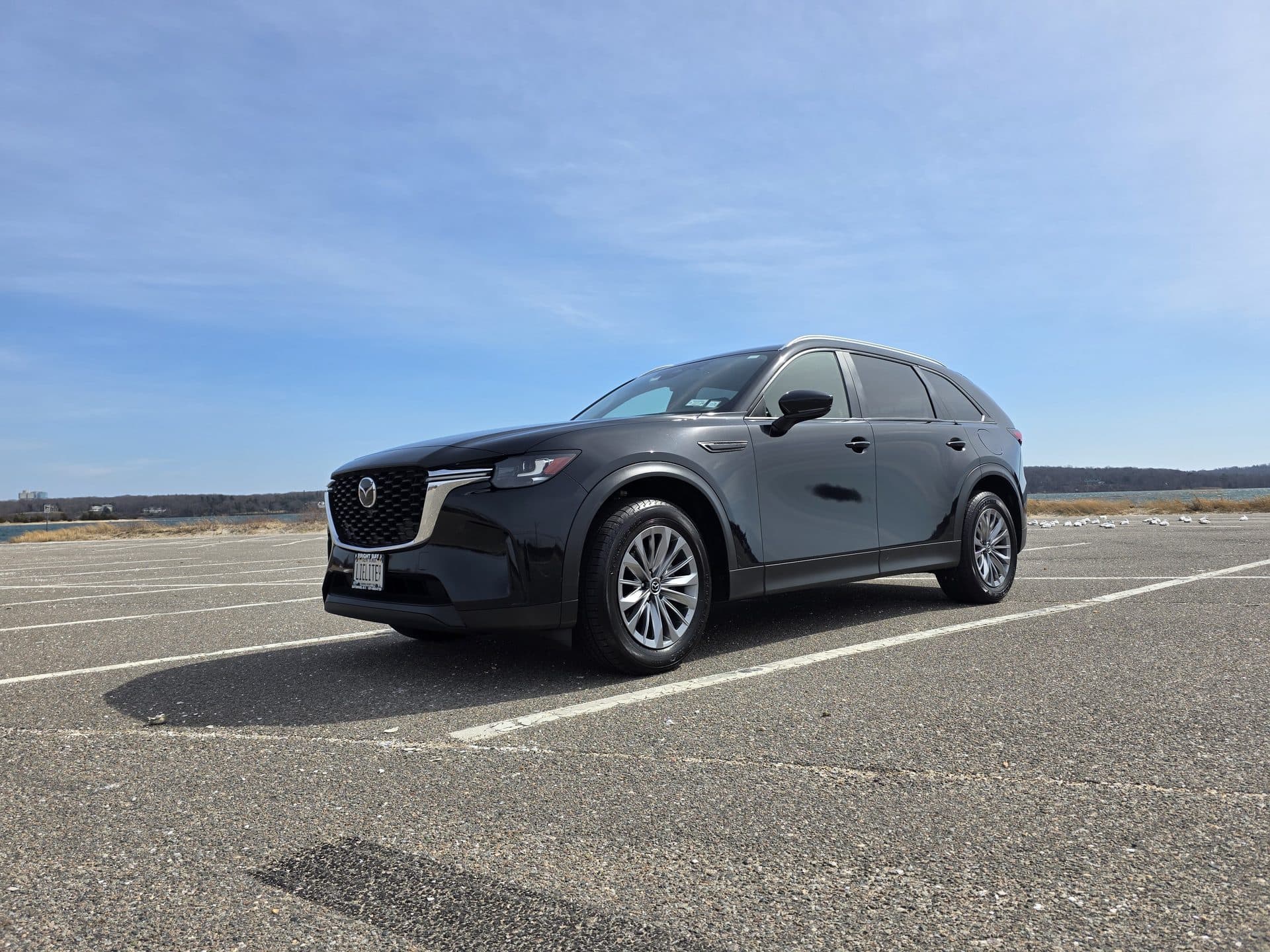Lielite Limo
