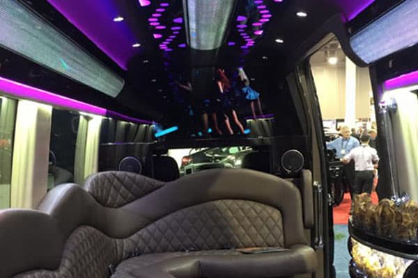 Mercedes Party Bus 14 Std. Size Passengers