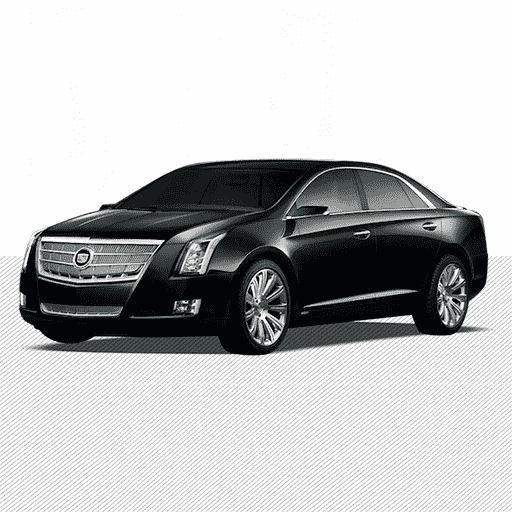 Limos Erviceus
