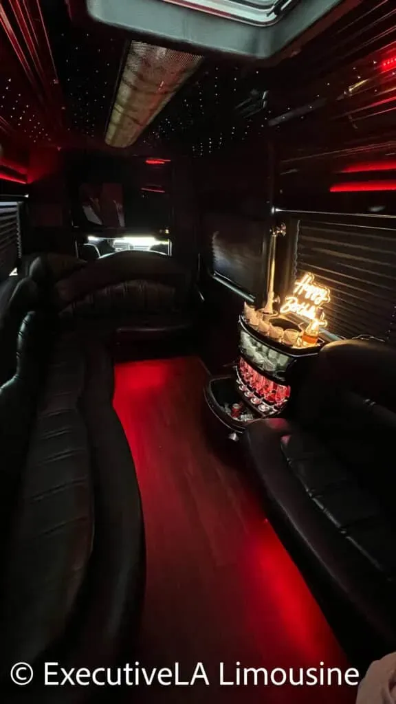 Bolt - Mercedes Party Bus (10-15 passengers)