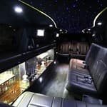 Fat Cat Limo
