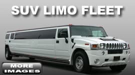 12 Pass. Mercedes S550 Limousine