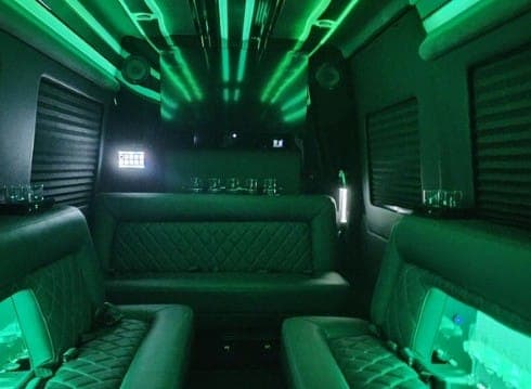 Mercedes Sprinter Party Bus or Similar