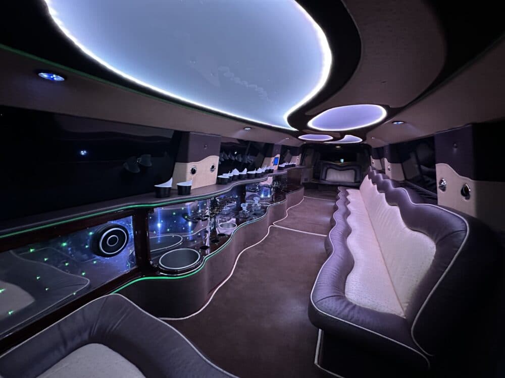 14 Passenger Denali Executive Luxury