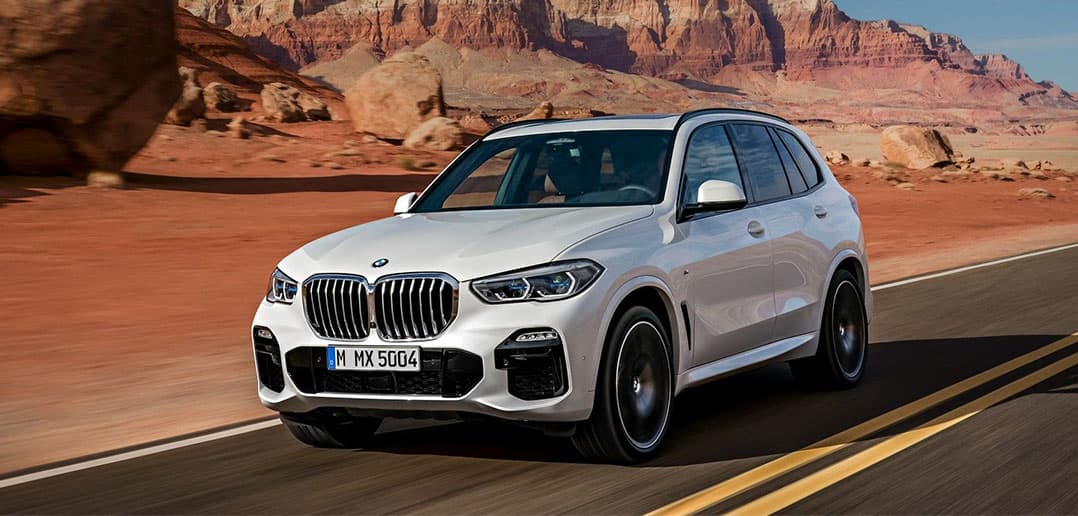 BMW X5 Luxury SUV (3 Pax)