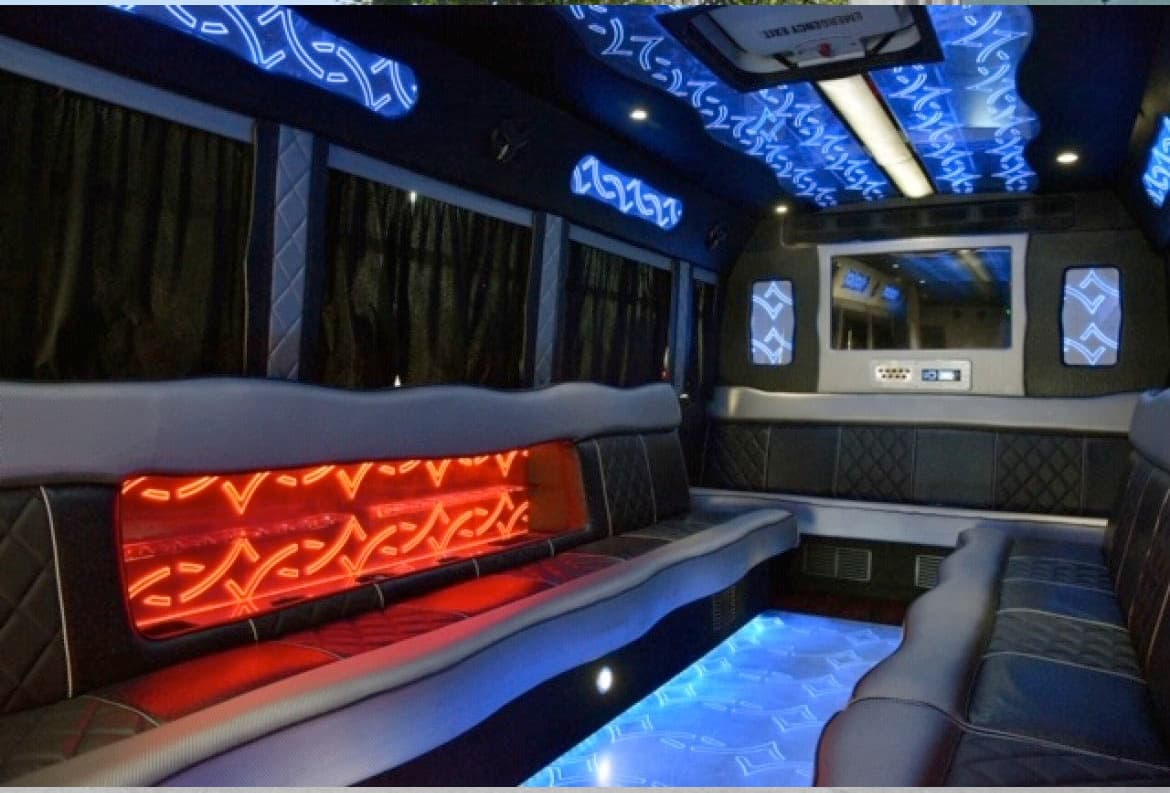 Party Buses - 24-35 Passenger Capacity