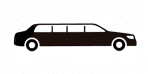 Emission Friendly Limo Bus - 9 Passenger Minibus