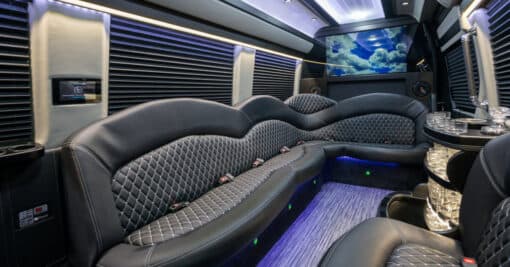 2023 Mercedes Sprinter Party Bus #2 – 12-14 Passenger Party Bus T-2