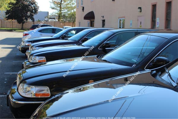 Blue Limos