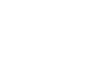 Carey Executive Limousine