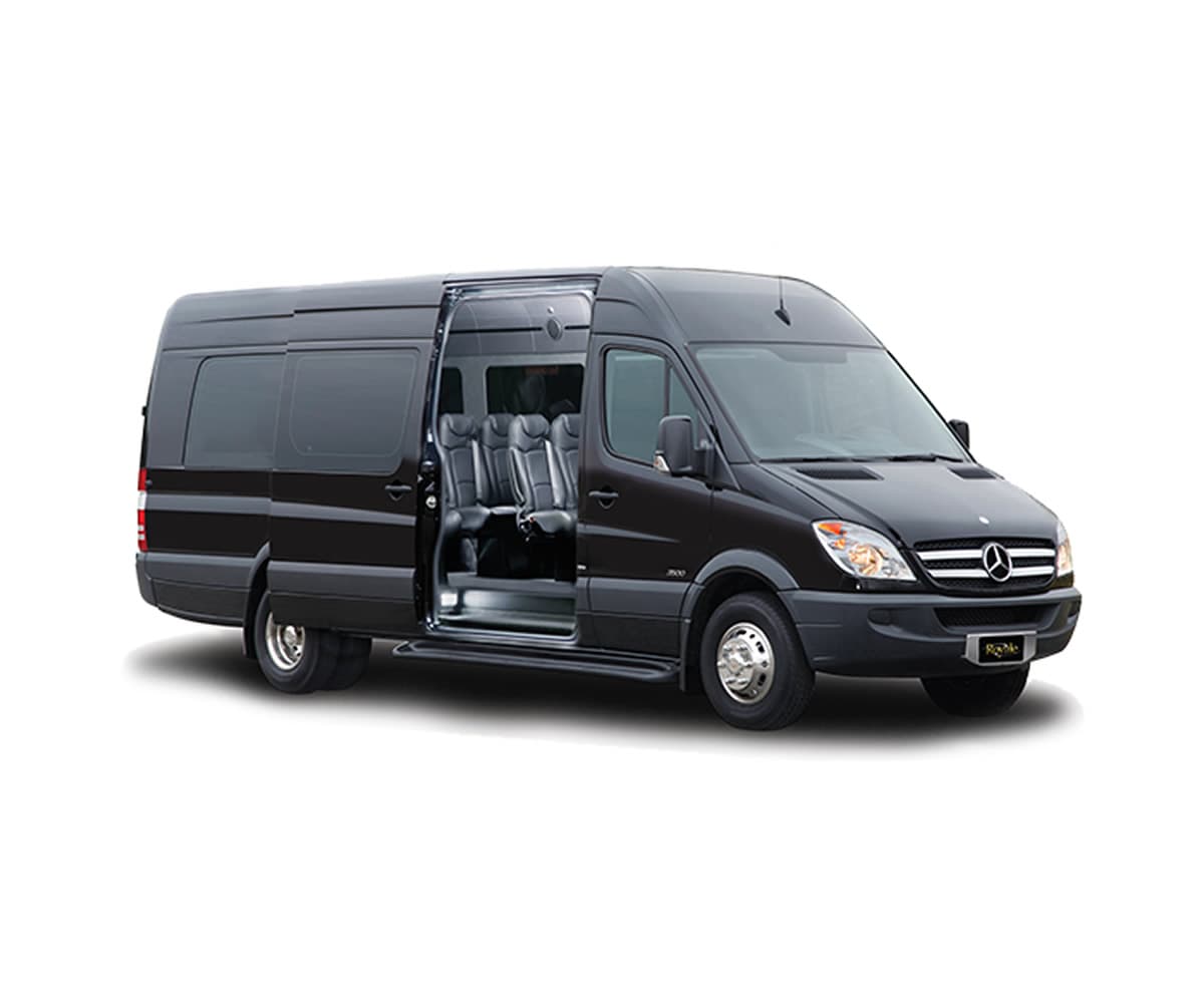 Corporate Sprinter Van - 14 passengers