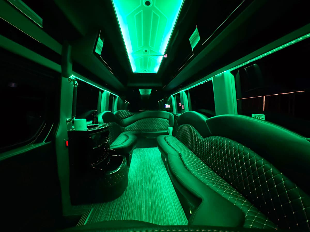 LUXURY - 12 Passenger Sprinter
