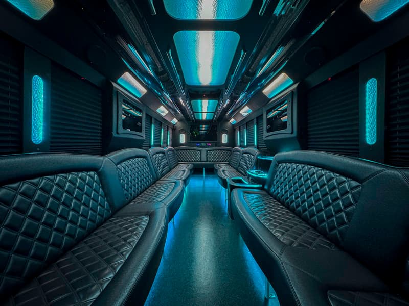 SKYLINER - 30 Passenger Party Bus