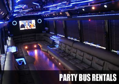 40-50 Passenger Charter Bus