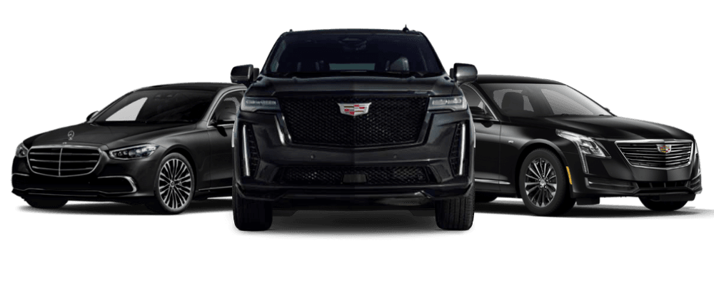 VIPRide4U Limousine
