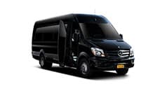 Shuttle & Party Bus