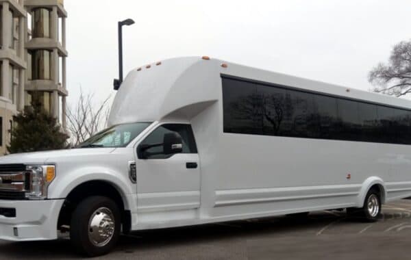 Black 10 Passenger Stretch Limo