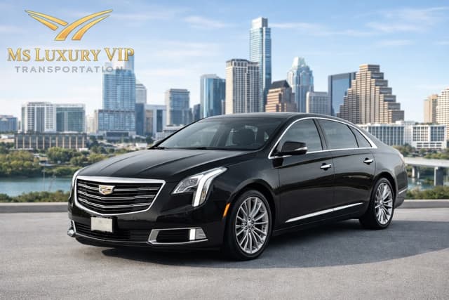 MS Luxury VIP Transportation, LLC.