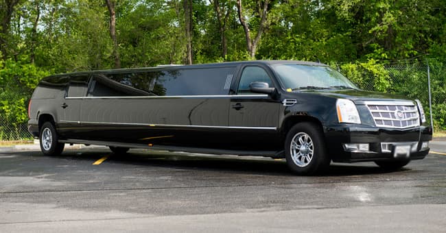 20 Person Limo