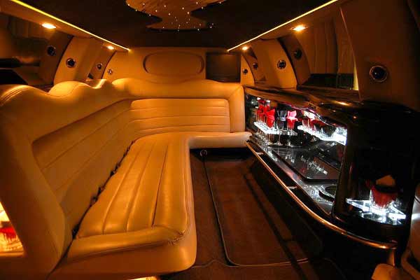 Classic & Stretch Limo - 50 Passenger