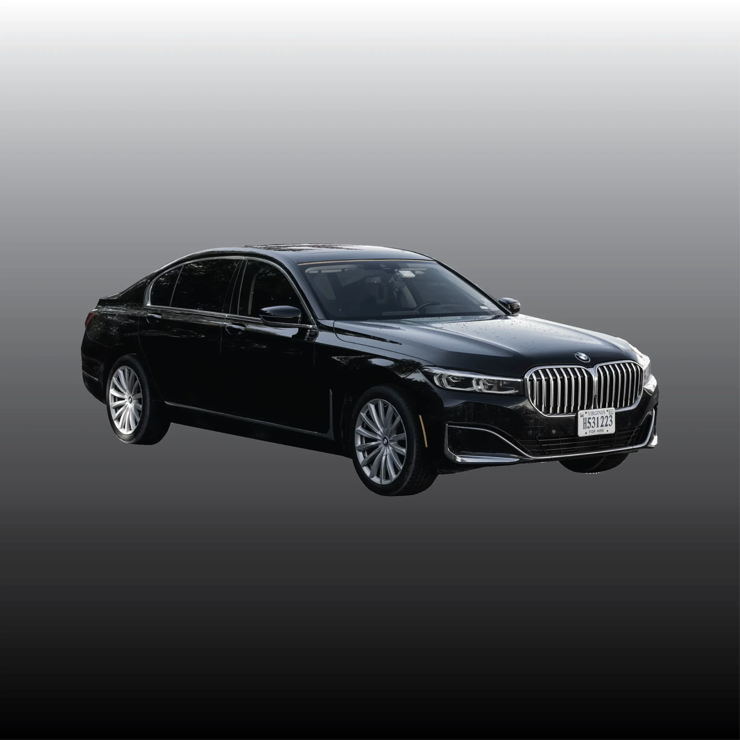 Reston Limousine