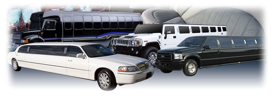 Passenger Limo Bus