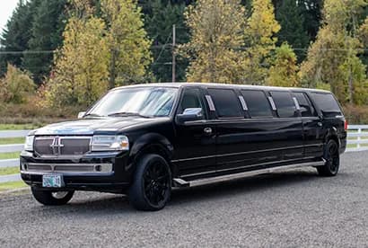 14 Passenger Lincoln Navigator Limo