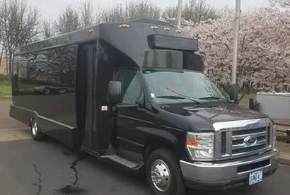 22 Passenger Limo Party Bus (20 seated)