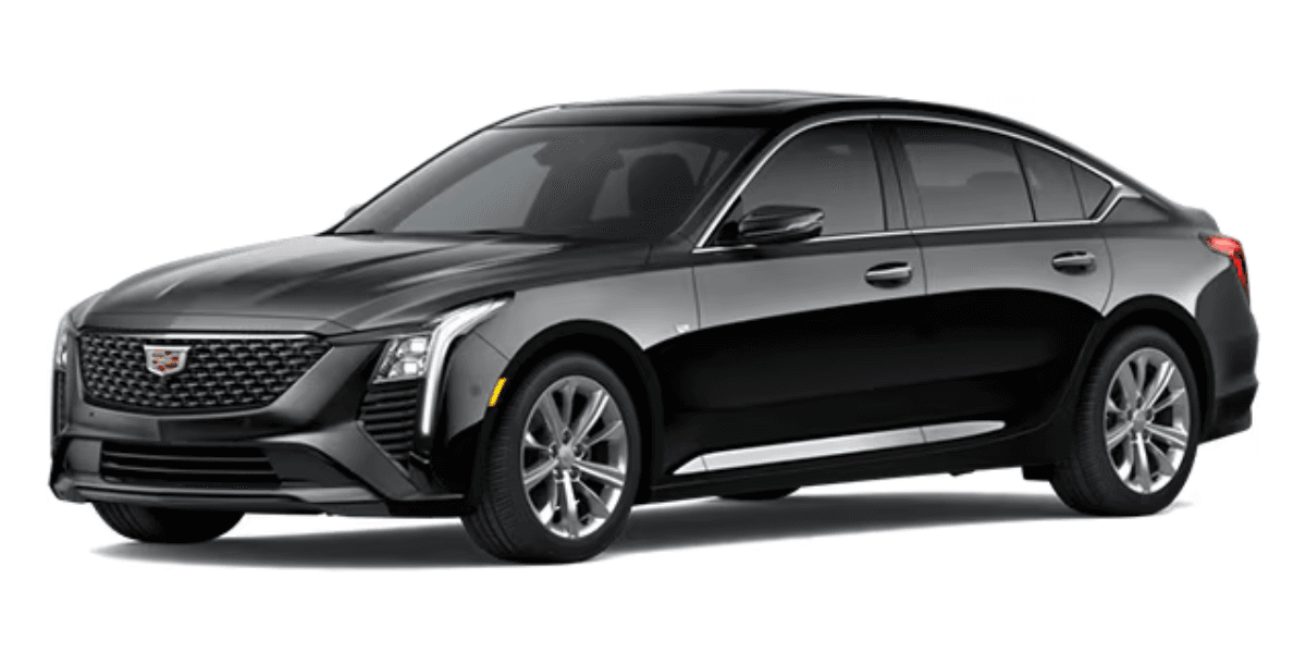 Yaz Luxury Transportation